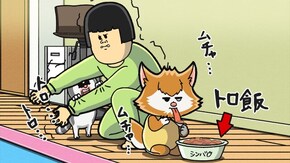 第57・58話 第57話「トロ飯を雰囲気で味わおうとする猫」/第58話「時間だけは無限にある猫の犯罪」