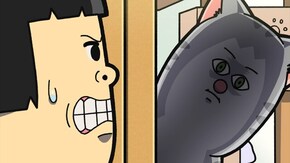 第69・70話 第69話「臭いとクシャミするタイプの猫」/第70話「猫の目薬の値段を母に教えた結果」