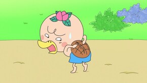 #515 「甲羅が割れた!」