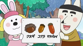 #574 「どんぐりで遊ぼう」