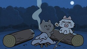 #2~#12