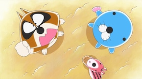 #193 アライグマくんの旅立ち