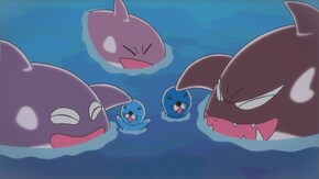 #265 シャチの島