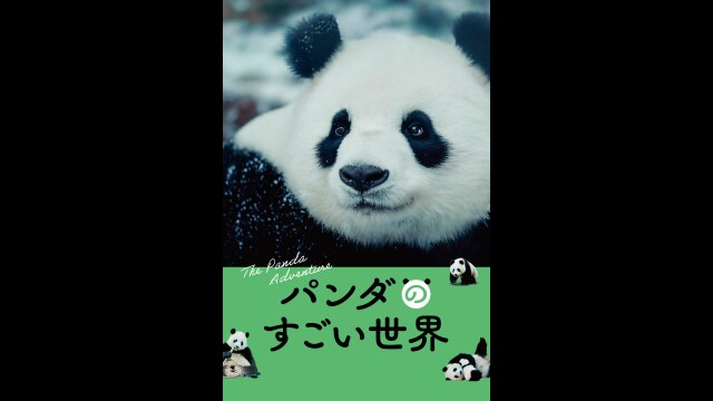 予告編