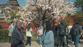 第4話 杏の花の想い