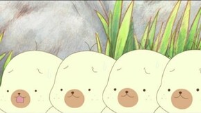第41話~第42話 さよならオヤビン…解散でプ!/ハロウィンでブローチでプ!