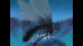 #4 生命(いのち)の輝き
