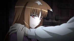 第十一幕 狼と別れの決意