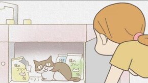 #10 5にゃん来訪