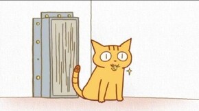 #19 コレクター
