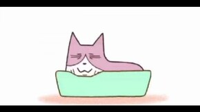 #2 猫ベッド大小