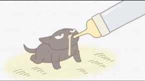 #19 くるねこ保育園