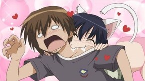 第8話 Curiosity killed the cat