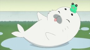 第42話 雨ふりゴマちゃん