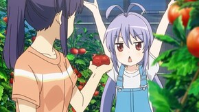 第04話 トマトを届けるサンタになった
