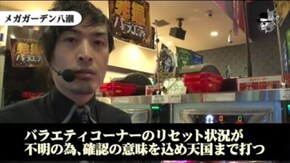 セイジ メガガーデン八潮店#466