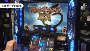 セイジ メガガーデン桶川店#475
