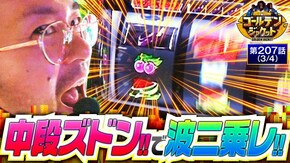 第207話 バーサスリヴァイズ パチスロ交響詩篇エウレカセブン HI-EVOLUTION ZERO TYPE-ART 新ハナビ