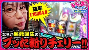第40話(2/2) L 犬夜叉2 eフィーバーからくりサーカス2 魔王ver.