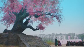 第20話