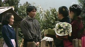 256回 再起編