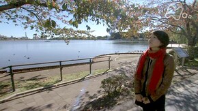 秋深き 再会のとき~茨城県偕楽園公園