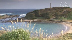 手紙シリーズ 第1回 忘れられないわたしの旅 ふたたび 歩む