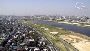 五色の春~東京 足立区荒川~