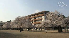 桜の学びや~茨城県 土浦市真鍋~