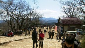 うららかな光の中で~東京 高尾山~