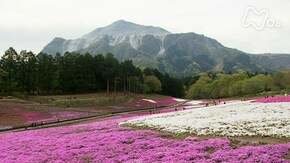 花慈しむ 機音~埼玉県秩父市~