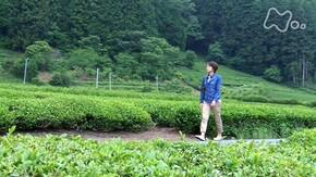 ぬくもり たなびいて~茨城県 大子町蛇穴~