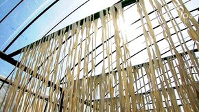 雷(らい)さまの慈雨~栃木県下野市~