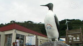 空と海 悠々と~北海道天売島~
