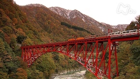 手紙シリーズ(2) 忘れられないわたしの旅~ふたりの旅路~