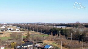 風をうけとめる木~埼玉県深谷市櫛挽(くしびき)~