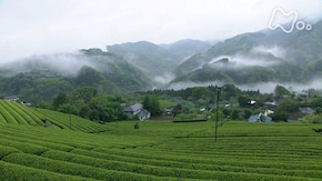 薫風に里弾む~神奈川県山北町~
