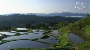 大地は傷ついても~新潟県長岡市山古志~