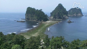 テングサの海で~静岡県 西伊豆町 堂ヶ島~