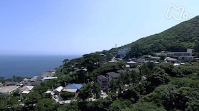 イルカと暮らす宝島~東京 御蔵島~