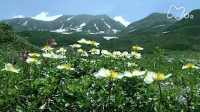 山の歌 夏 「気高き峰 ともに~富山県 立山~」