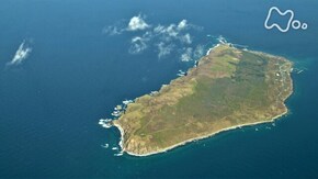 「海鳥 舞うころに ~北海道 天売島(てうりとう)~」