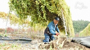 「水 こんこんと~栃木県 大田原市~」