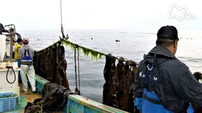 「秘境の海 いつまでも ~北海道 知内町小谷石~」