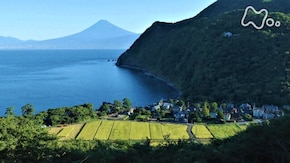 「青 澄みわたる海 ~静岡県 沼津市井田~」