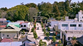 「春 神宮さんと ~茨城県 鹿嶋市~」