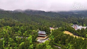 「お大師さんに結ばれて ~和歌山県 高野山麓~」