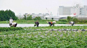 「開拓の心 未来へ ~徳島県 松茂町~」