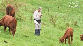 「命 語りかけて ~岩手県 岩泉町~」
