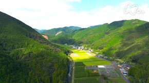 「にぎわい 生まれて ~高知県 三原村~」